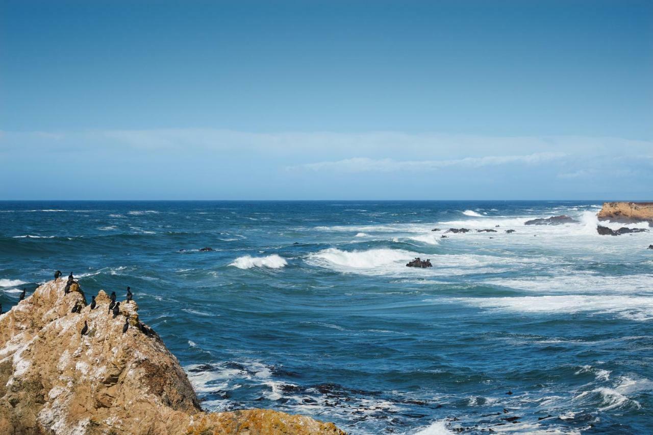 Ocean Breeze Villa Fort Bragg Eksteriør billede